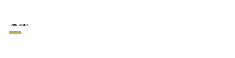 PAUSE ANIMAL logo
